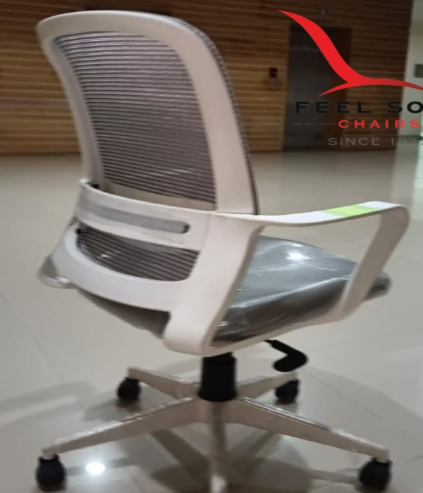 Office Chair FSC